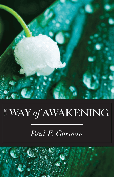 The way of awakening by Paul F Gorman